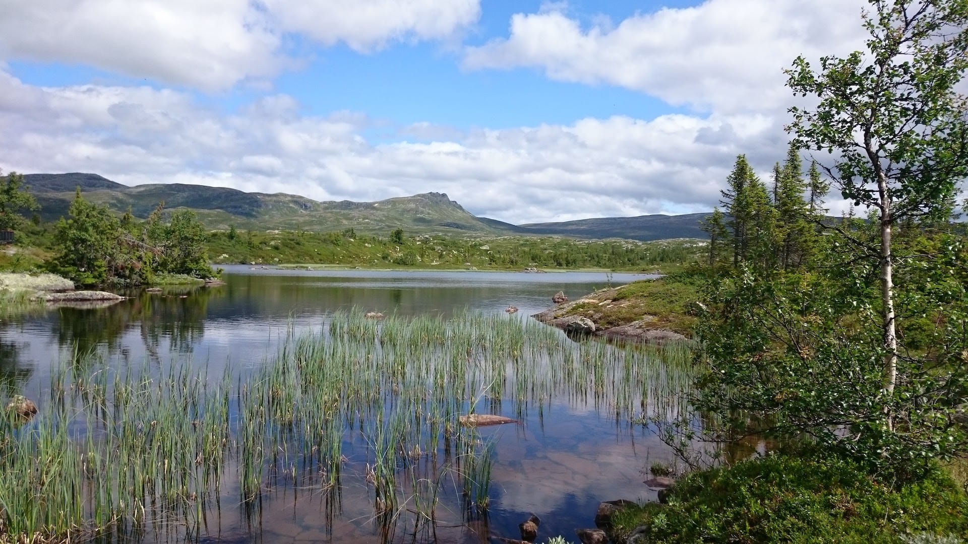 Værtjenn med Ranten i bakgrunnen